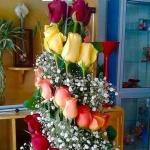 Meet your Posher, Nicey